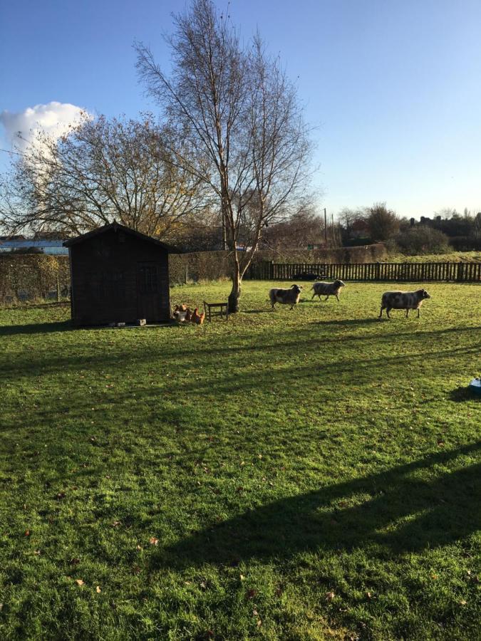 The Barn Bed And Breakfast Hale  Eksteriør bilde